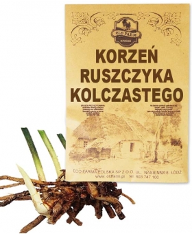 RUSZCZYK KOLCZASTY KORZEŃ 50 G
